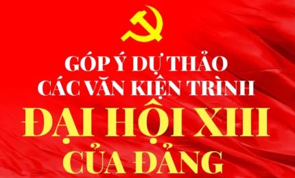 Đẩy mạnh các kênh trao đổi giữa trong nước và người Việt Nam ở nước ngoài