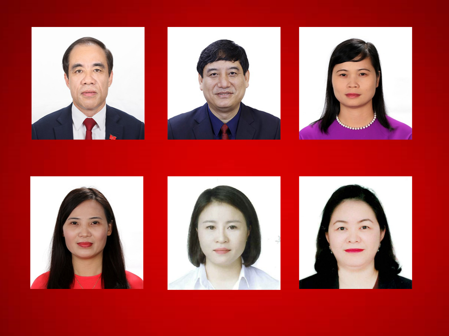 6 ứng cử viên tại Tuyên Quang trúng cử đại biểu Quốc hội khóa XV