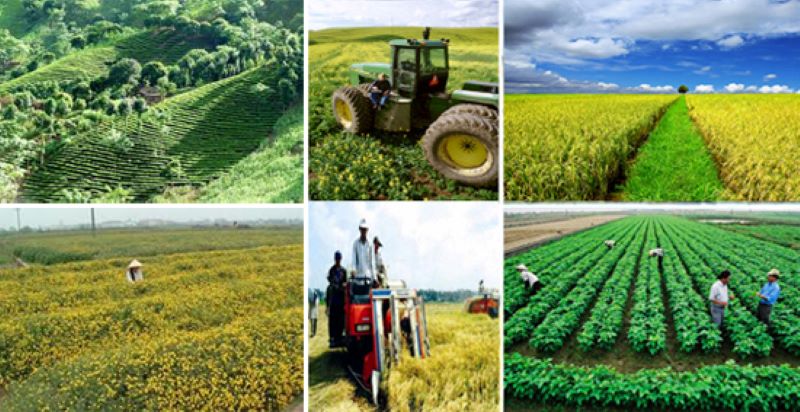 Đổi mới, nâng cao giá trị sản xuất nông nghiệp trong thời kỳ mới (Ảnh: PV)