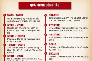 Infographic: Chân dung tân Bí thư Tỉnh ủy Lào Cai Đặng Xuân Phong