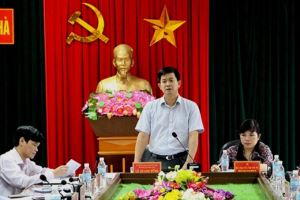 Bộ Chính trị chỉ định Bí thư Tỉnh ủy Quảng Trị