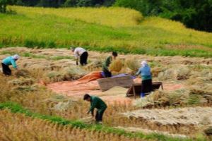 Cao Bằng: Tạo đột phá từ các chương trình trọng tâm