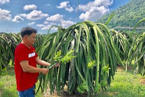 Bình Thuận: Nhiều cách làm hay trong công tác dân vận