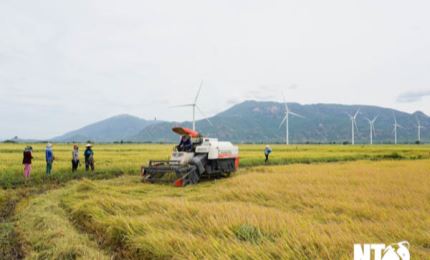 Ninh Thuận chú trọng tuyên truyền về xây dựng nông thôn mới