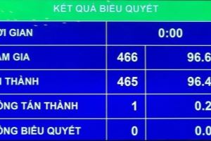 Ngày 23/5/2021, bầu cử đại biểu Quốc hội khóa XV