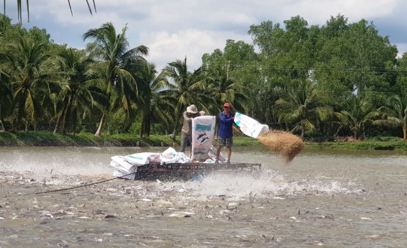 Nuôi trồng thủy hải sản là một trong những thế mạnh của tỉnh