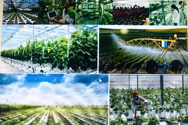 Thi đua sản xuất nông nghiệp công nghiệp cao, đưa nông nghiệp phát triển bền vững (Ảnh: HNV)
