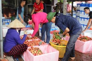 Ngành Nông nghiệp đạt nhiều thành tựu trong giai đoạn 2016-2020