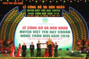 Chuyển biến tích cực trong xây dựng nông thôn mới ở Việt Yên