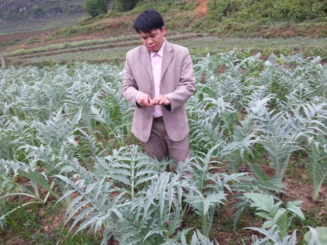 Phát triển cây dược liệu - một trong các giải pháp xóa đói,
            giảm nghèo tại các huyện 30a của Hà Giang. (Ảnh: VP)