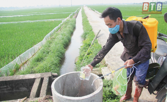 Nông dân huyện Tiền Hải, Thái Bình thực hiện tốt việc bỏ bao bì thuốc bảo vệ thực vật đúng nơi quy định sau khi phòng, trừ sâu bệnh (Nguồn ảnh: baothaibinh.com.vn)