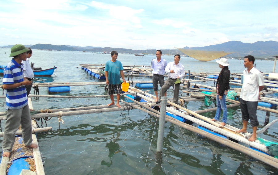 Các mô hình nuôi trồng thủy sản theo hướng an toàn sinh học, VietGap cũng được nông dân Phú Yên xây dựng.