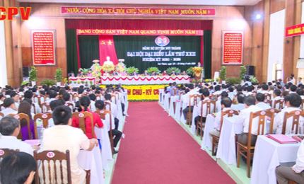 Quảng Nam tổ chức Đại hội điểm Đảng bộ huyện Núi Thành