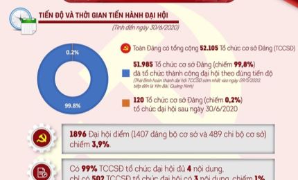 Infographic: Đại hội tổ chức cơ sở Đảng- Một số kết quả nổi bật