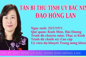 [Infographics] Chân dung Tân Bí thư Tỉnh ủy Bắc Ninh Đào Hồng Lan