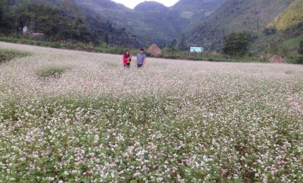 Hà Giang: Phấn đấu thực hiện tốt nghị quyết đại hội Đảng bộ tỉnh