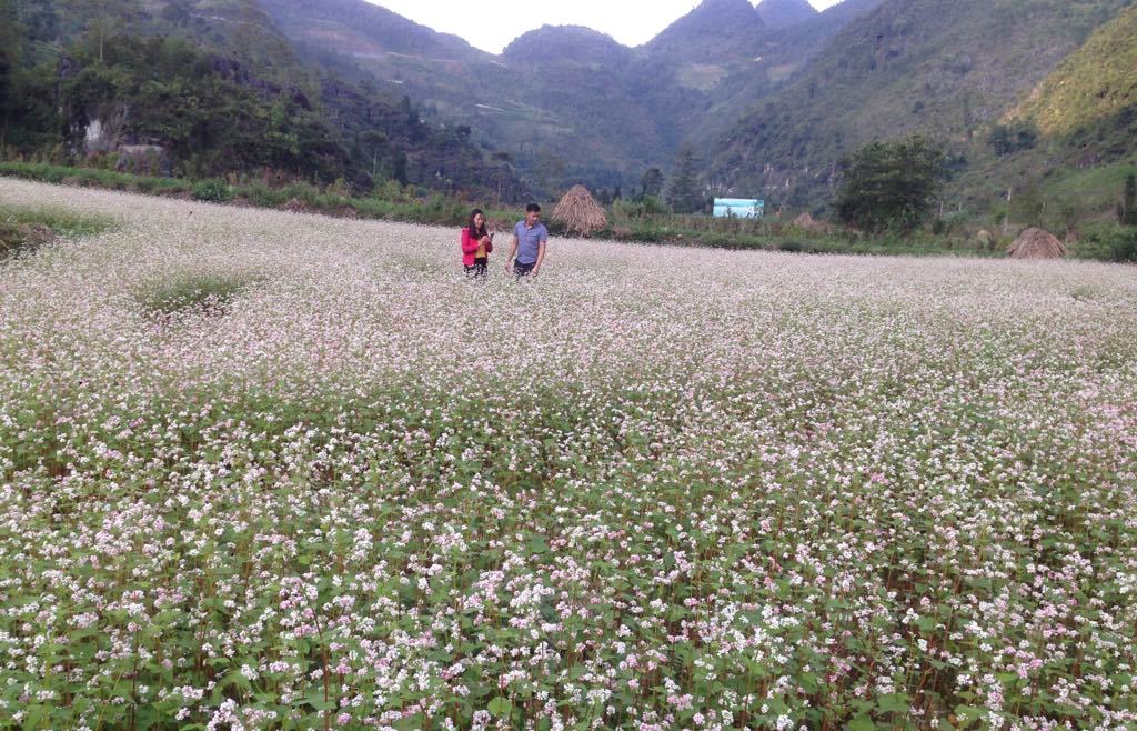 Hà Giang phấn đấu đưa du lịch trở thành ngành kinh tế mũi nhọn của tỉnh trong giai đoạn 2021-2025 (Ảnh: SN)