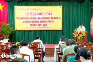 Đồng Nai tập trung cho công tác bầu cử