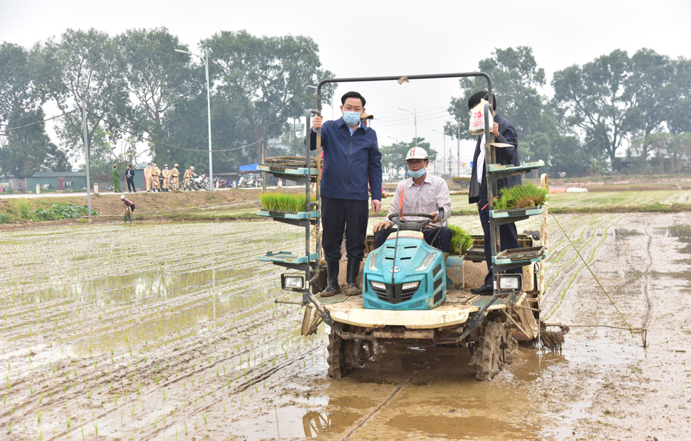 Lãnh đạo TP Hà Nội trên máy cấy lúa cùng nông dân.