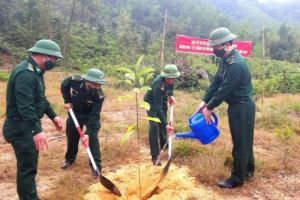 Bộ đội Biên phòng Đà Nẵng hưởng ứng "Tết trồng cây đời đời nhớ ơn Bác Hồ"