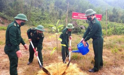 Bộ đội Biên phòng Đà Nẵng hưởng ứng "Tết trồng cây đời đời nhớ ơn Bác Hồ"