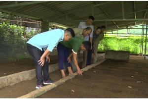 Cựu chiến binh tỉnh Hà Giang tích cực thực hiện các phong trào thi đua