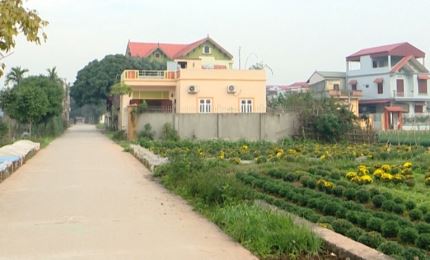 Huyện Thường Tín (Hà Nội) tiến tới xây dựng các xã nông thôn mới kiểu mẫu