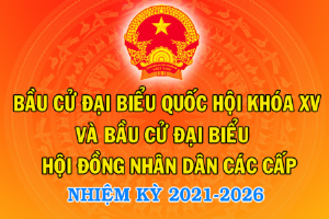 Bộ Nội vụ: Đẩy mạnh tuyên truyền cuộc bầu cử