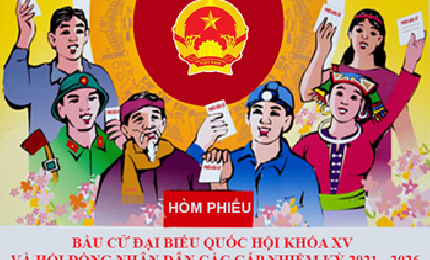 Đà Nẵng thành lập 15 đơn vị bầu cử đại biểu HĐND TP khóa X
