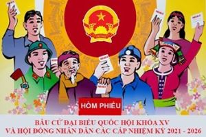 Kế hoạch giám sát, kiểm tra cuộc bầu cử