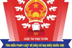 Cuộc thi trực tuyến “Tìm hiểu pháp luật về bầu cử đại biểu Quốc hội và đại biểu HĐND”