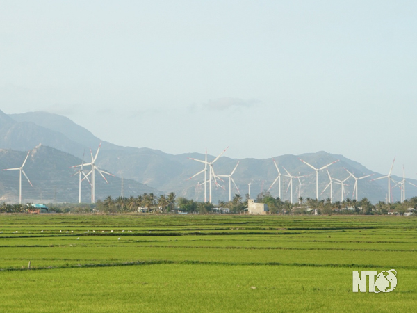 Cánh đồng điện gió xã Công Hải (Thuận Bắc) đã dần hình thành và đi vào hoạt động (Ảnh: Báo Ninh Thuận online)