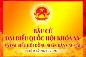 Thái Bình: Chốt danh sách 11 người đủ tiêu chuẩn ứng cử đại biểu Quốc hội