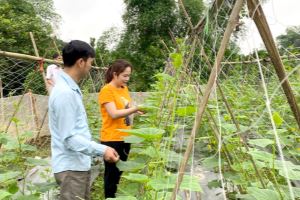 Học Bác làm những việc có lợi cho dân