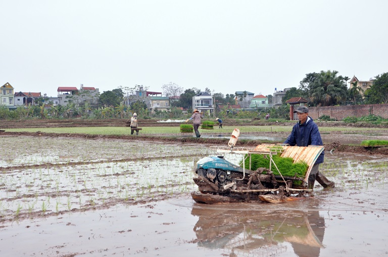 Nông dân tỉnh Vĩnh Phúc thi đua sản xuất chào mừng ngày bầu cử. (Ảnh: baovinhphuc.com.vn)