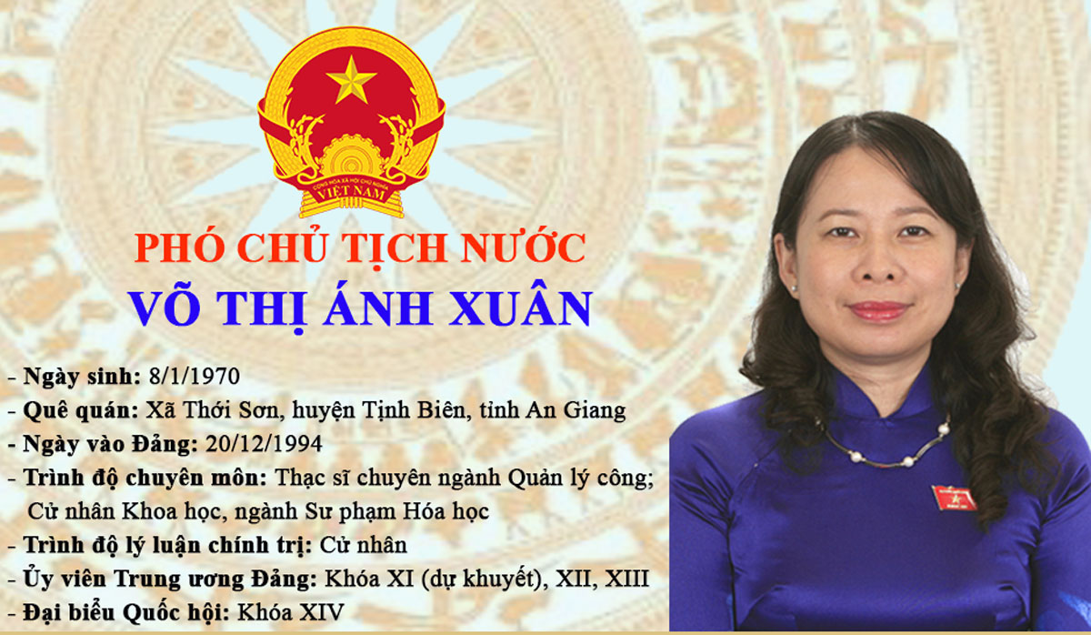 Infographic Tiểu Sử Pho Chủ Tịch Nước Vo Thị Anh Xuan đảng Cộng Sản Việt Nam đại Hội Xiii [ 698 x 1200 Pixel ]