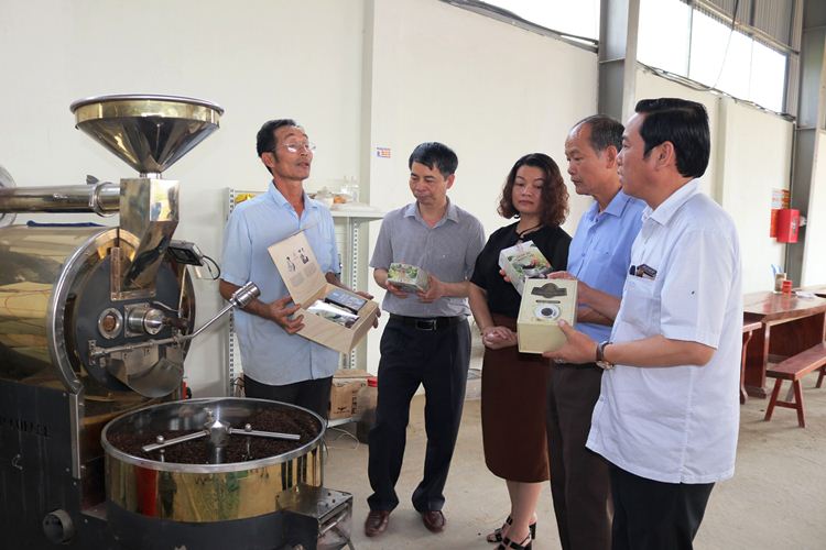 Với thế mạnh của vùng đất dốc, Sơn la đẩy mạnh phát triển cây công nghiệp, trong đó có cây cà phê là chủ đạo.