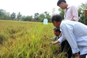 Giữ nhịp tăng trưởng cho ngành nông nghiệp