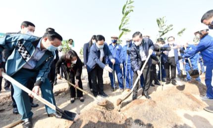 Hà Nội phấn đấu năm 2021 trồng hơn 300.000 cây xanh