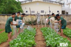 Tuổi trẻ lực lượng vũ trang Ninh Thuận học tập và làm theo Bác bằng những việc làm cụ thể