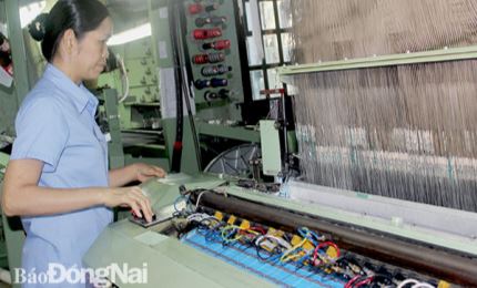 Đồng Nai: Giá trị sản xuất công nghiệp tăng 9%
