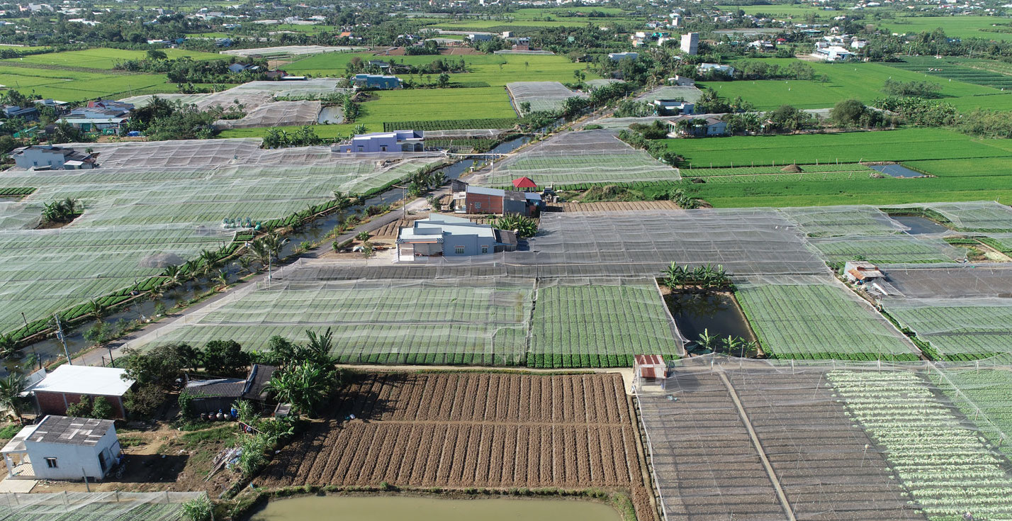 Xây dựng NTM gắn với tái cơ cấu ngành Nông nghiệp, góp phần nâng cao đời sống người dân (ảnh chụp tại xã Tân Đông, huyện Gò Công Đông).