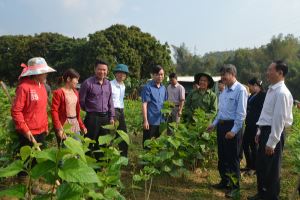 Huyện Văn Chấn (Yên Bái): Quyết tâm tạo đột phá trong xây dựng nông thôn mới