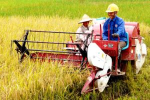 Hội Nông dân Việt Nam: Khơi dậy tinh thần thi đua thời kỳ mới