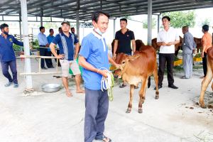 An Giang tập trung thực hiện các giải pháp giảm nghèo